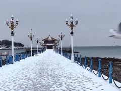 -栈桥景区