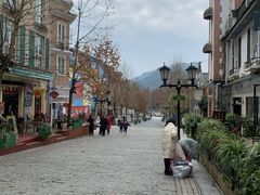 -四川省成都市彭州市白鹿镇