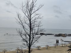 -浪琴湾度假村