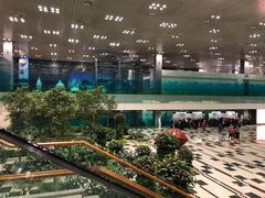 -美珍香(樟宜机场1号航站楼店)