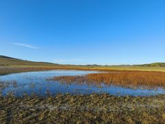 -塞罕坝国家级自然保护区