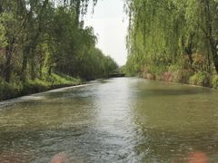 -同里国家湿地公园