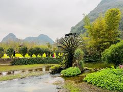 -靖西鹅泉风景区