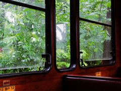 -合肥滨湖国家森林公园