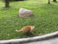 -荔香公园