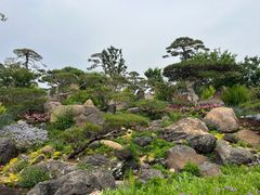 -罗红摄影艺术馆