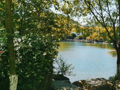 -白马涧龙池景区