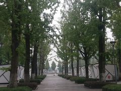 -百林公园-两江幸福广场
