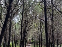 -北京十三陵国家森林公园蟒山景区