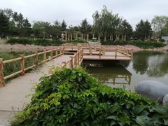 -通辽森林公园