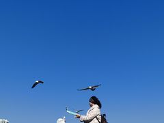 -黑石礁公园