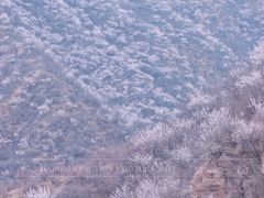 -妙峰山风景名胜区