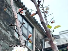-广州神农草堂中医药博物馆