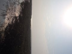 iphone_upload_pic-北海金海湾红树林生态旅游区