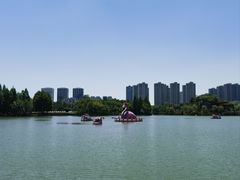 -青枫公园