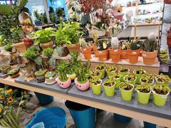 -凯德广场(学府店)