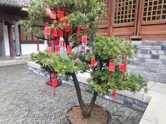 -锦溪古镇