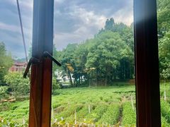 -野蔓果·山野菜(西湖景区·龙井茶田店)