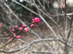 -吉庆桂林米粉·柳州螺蛳粉(港汇广场店)