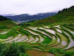 -紫鹊界梯田景区