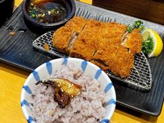 -胜博殿日式炸猪排(西红门店)