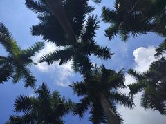 -南宁花花大世界景区