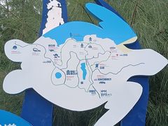 -广东惠东海龟国家级自然保护区