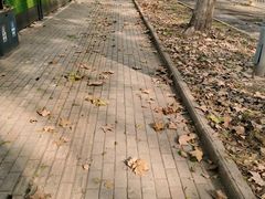 -后襄河公园