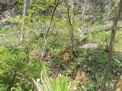 -南山风景名胜区