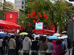 -越秀西湖花市(广州城市广场花卉店)