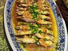-桃源人家(东门店)