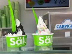 -Salud撒露欧洲冻酸奶(蓝色港湾店)