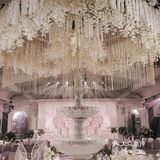 【主题:梦蝶】 缱绻成茧 化茧成蝶 你会记得好的电影