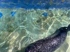 -太平洋海底世界