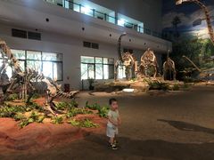 -自贡恐龙博物馆