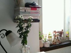 android_upload_pic-海边的猫和咖啡馆