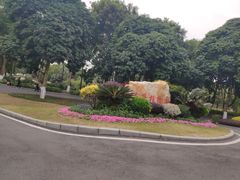 -东莞市大岭山森林公园