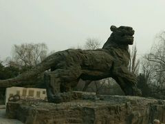 动物园—狮虎山-北京动物园