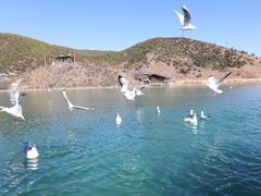 -丽江泸沽湖景区