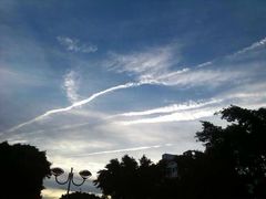 -万绿园
