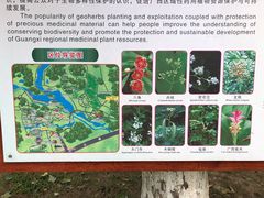 -广西壮族自治区药用植物园