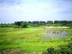 -东郊湿地公园