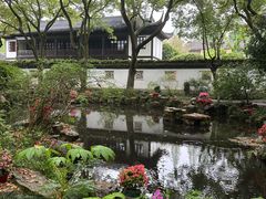 -上海醉白池公园