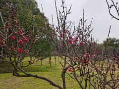 -蜀冈西峰生态公园