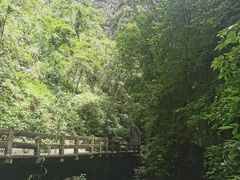 -龙水峡地缝景区