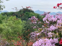 -庐山西海主景区