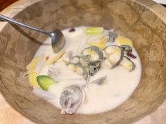 蒸汽石锅鱼-云中鱼蒸汽石锅鱼(浦东食品城店)