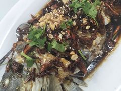 -鲁南老味·滕州炒鸡老店(岔路街店)
