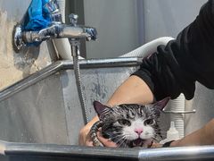 -PETKIT小佩宠物(古北店)