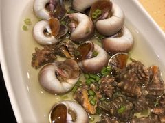 -高佳庄·舟山海鲜(海景旗舰店)